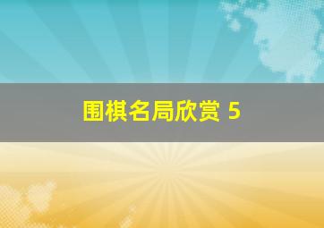 围棋名局欣赏 5